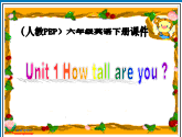 PEP桶Unit 1 How Tall  Are  you 2
